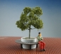 Preview: Waiting bench with plant container and tree, 1 piece