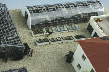 Cold Frame