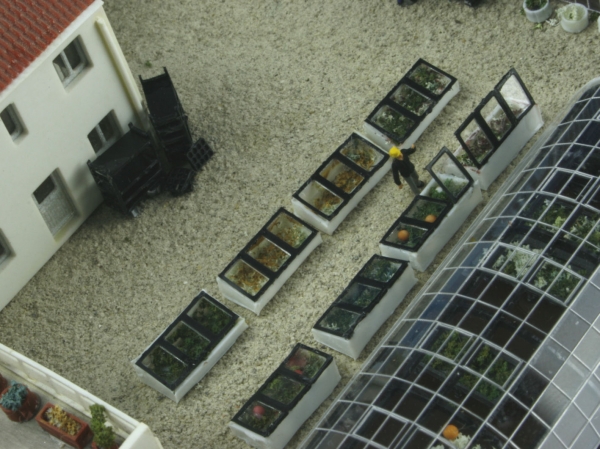 Cold Frame