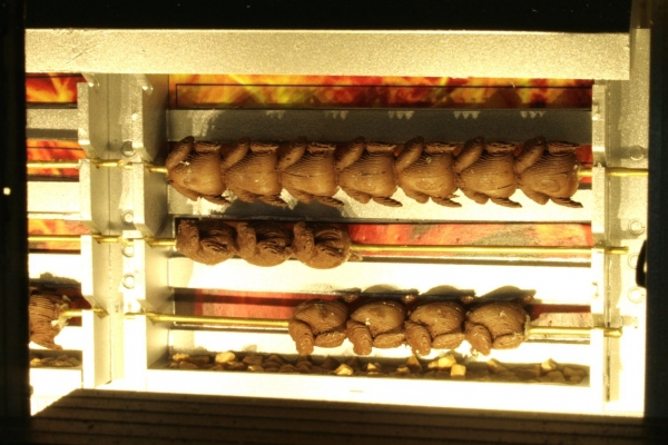 Chicken rotary with interior decoration